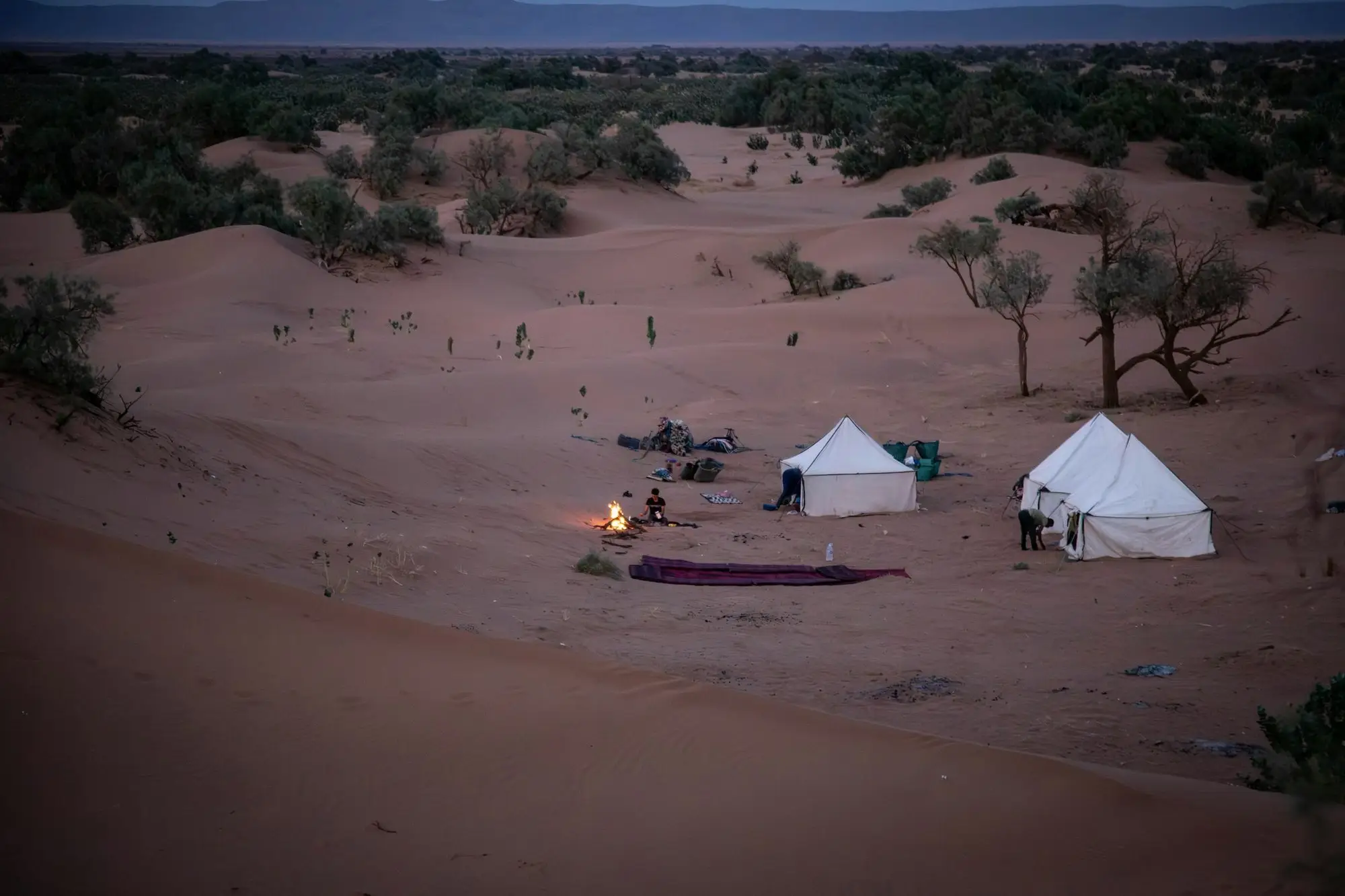Tentes de bivouac et feu de camp dans les dunes de M'hamid